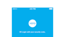 xero accounting software features protect your business data 220a